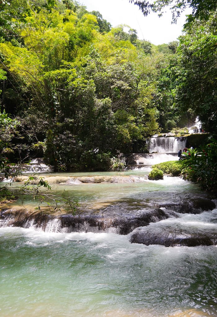 YS Falls, Black River Safari & Pelican Bar